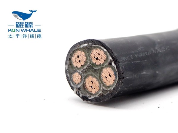 低煙無鹵電纜應(yīng)用在哪些場所你知道嗎？